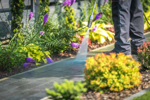 Trusted Neffs, OH Pressure Washing Services Experts