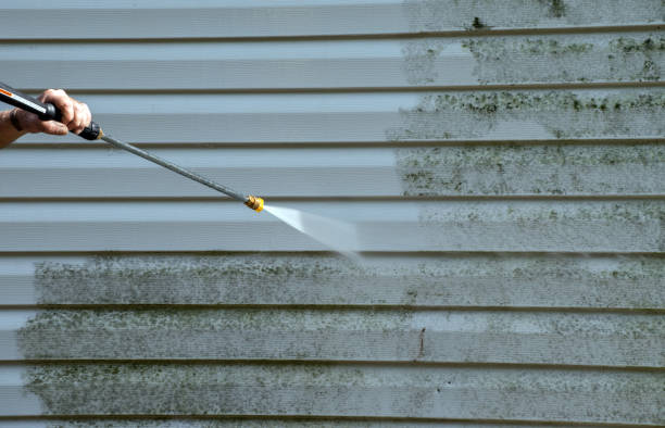 Best Roof Washing  in Neffs, OH
